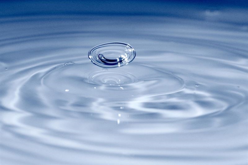 Neste to re-evaluate renewable hydrogen plan