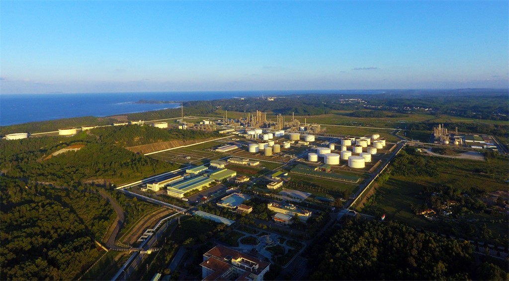 Wood to support cleaner, increased fuel production in Vietnam