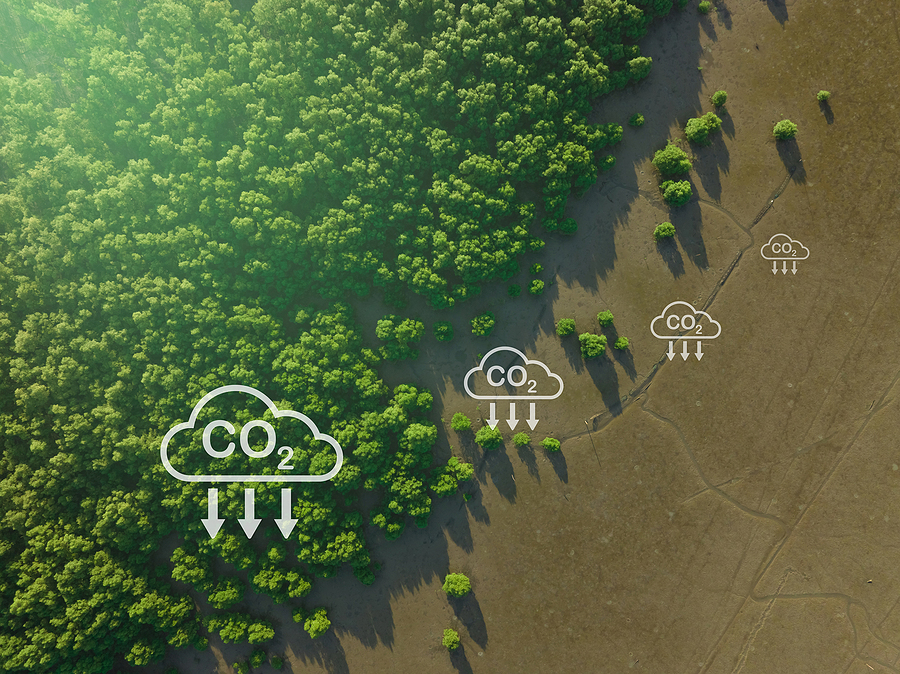 LanzaTech and Eramet plan CCUS project in Norway