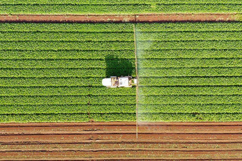 Topsoe to deliver ammonia technology for new green plant