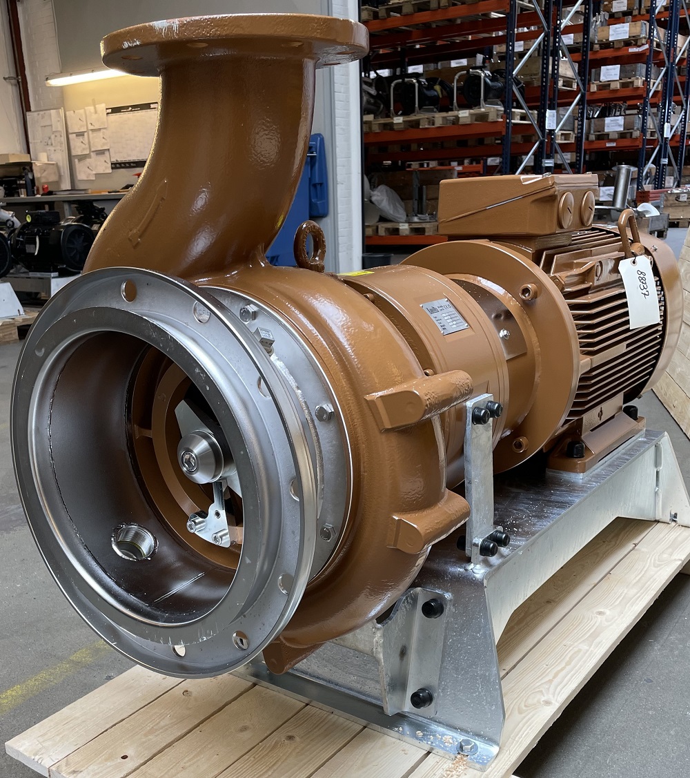 Landia takes the long-term pump view with HAYLEY DEXIS