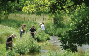 Thames Water makes major investment to improve water quality at stream